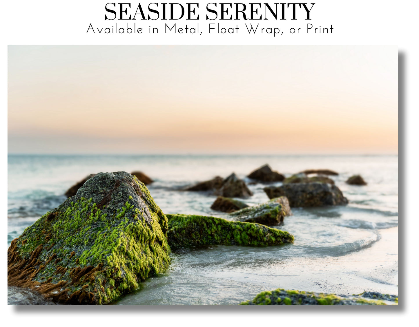 Seaside Serenity